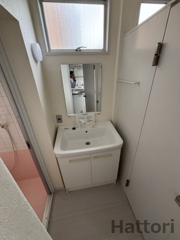 メゾン江坂の洗面所