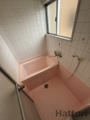 メゾン江坂の浴室