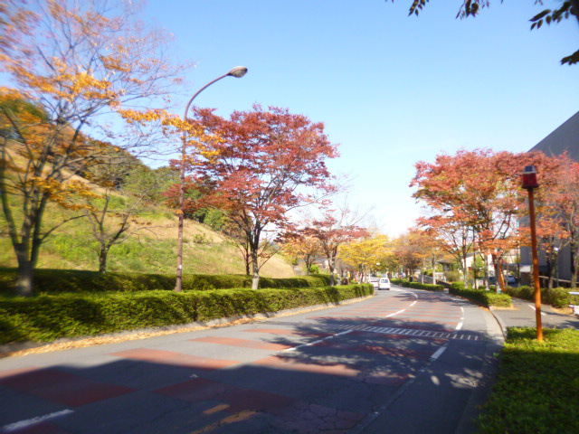 レーベンリヴァーレ美杉台グローブヒルズの周辺|前面道路