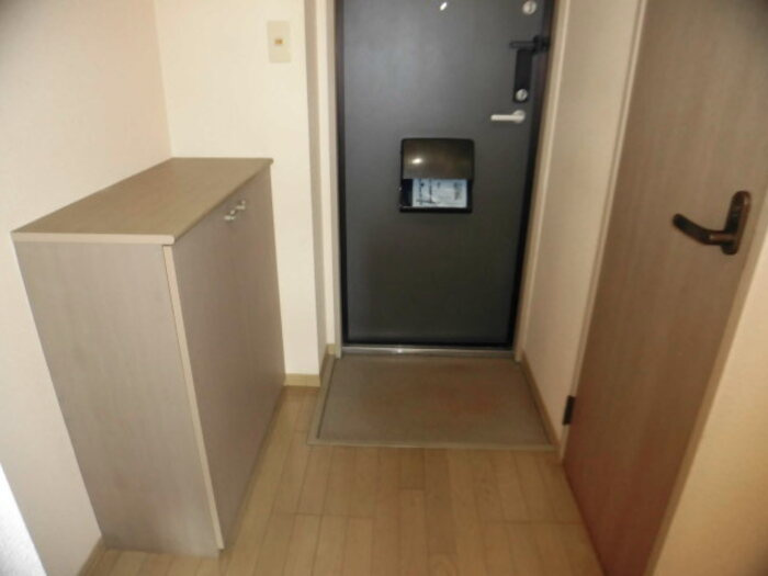 ルミエール A棟の玄関|103 玄関