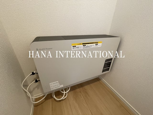 モアナのその他