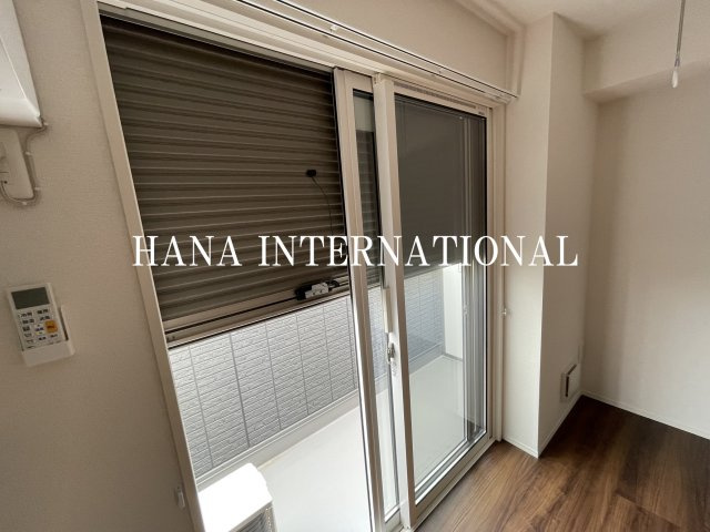 モアナのその他