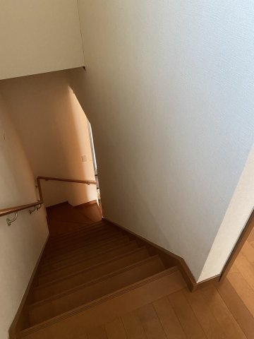 フェニックス ウィン Aの内装
