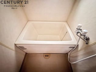 マンションアラスカの浴室