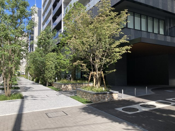【周辺】 | 【周辺】マンションの周りの歩道もきれいに舗装・管理されています！気持ちの良い並木道！