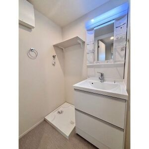 グランデッサの洗面所