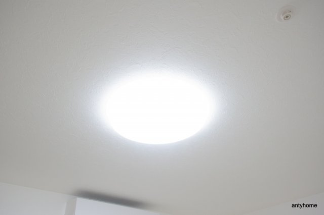 グランカーサ難波元町　仲介手数料無料の内装