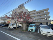 ベルクレエの画像