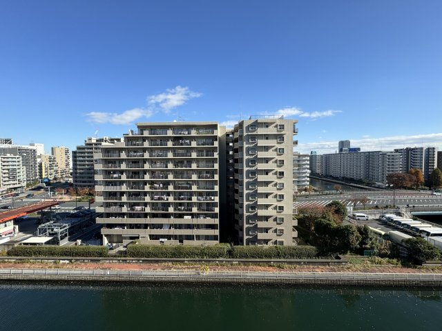 シティハウス豊洲キャナルテラスの展望|川を望む開放的な眺望