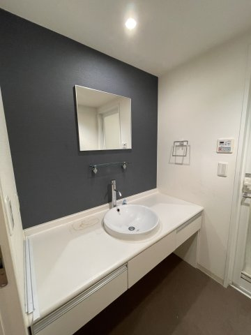 グレンパーク梅田北の洗面所