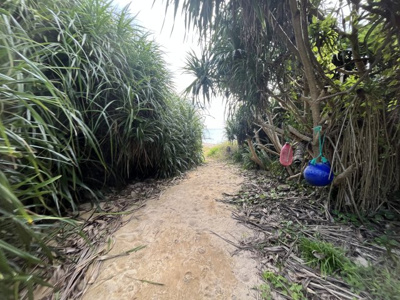  | 宜野座村字宜野座土地