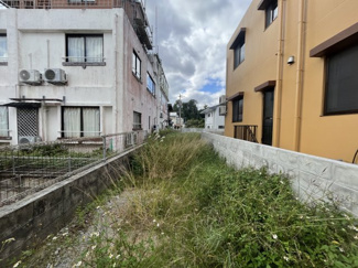  | 宜野座村字宜野座土地