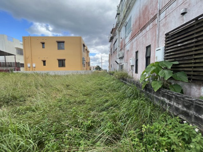  | 宜野座村字宜野座土地