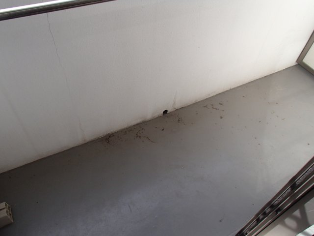 【バルコニー】 | ヴェスタ菱屋西
