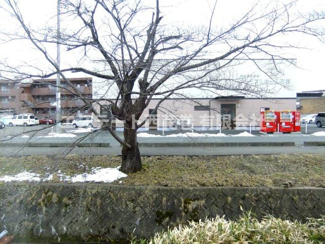 コーポ四日町の展望|春先には窓から見える桜がきれいです。