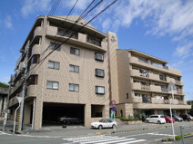 スターズ21の画像