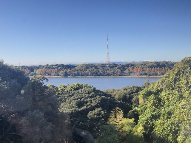 佐鳴台テニスビレッジの展望|秋の眺め
