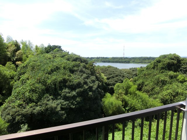 佐鳴台テニスビレッジの展望