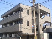 アンプルールフェールドミールの画像