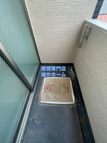 F asecia algolのバルコニー