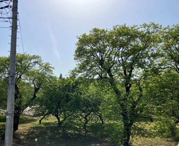 岡上戸建の展望