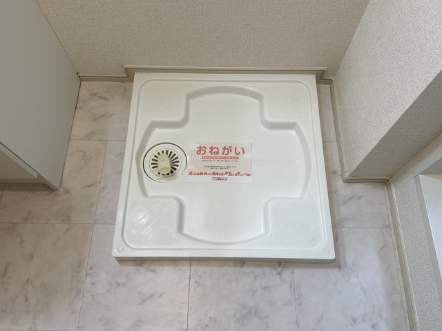モーニング・グローリーⅣのその他