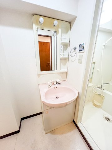 エミネンスパレスの洗面所