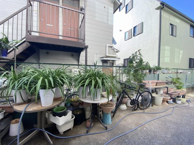 サイプレスレジデンスの展望