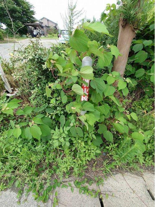 ■□大篠津町売土地□■のその他|敷地内に消火栓がございます。
移動不可。