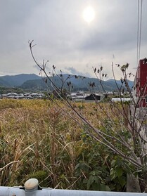 売土地の外観