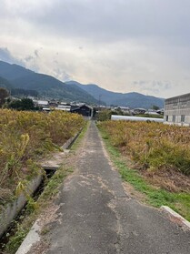 売土地の前面道路含む現地写真