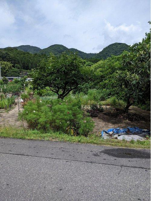 ■□広瀬町町帳売土地□■のその他|現地土地