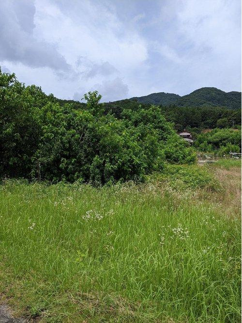 ■□広瀬町町帳売土地□■のその他|現状渡し