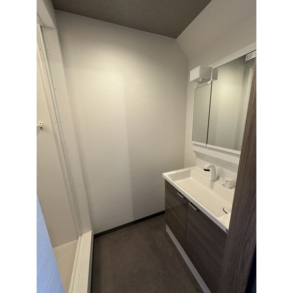 Le Ciel Garage Houseの洗面所