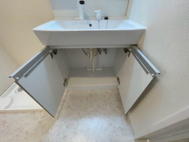 アルバ西岡本の洗面所