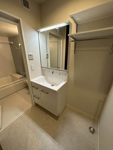 熊本市中央区出水３丁目の賃貸マンションの独立洗面台