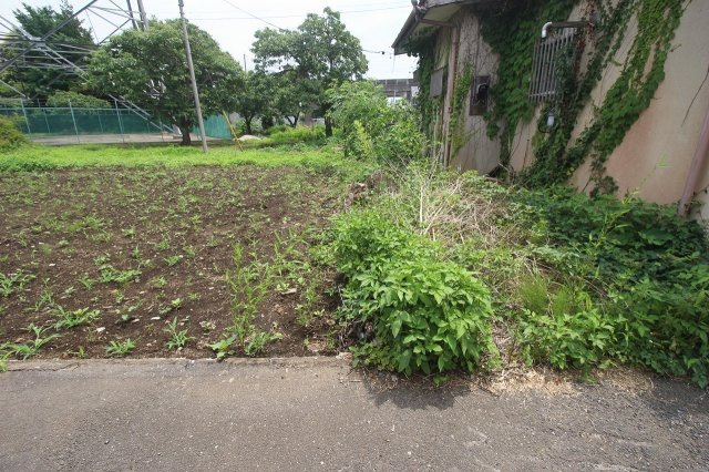 小山市若木町3丁目|南側との境界部分（2024年6月撮影）