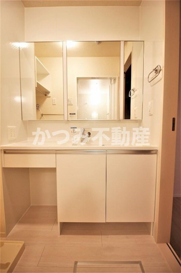 【独立洗面台】 | ビューテラス（D-ROOM） | 他号室参考写真