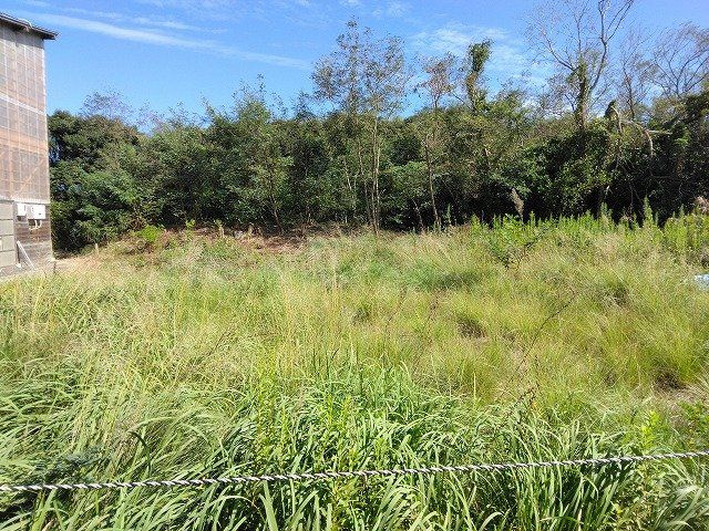 鳥取市湖山町西４丁目土地の外観