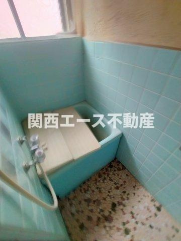  | 八戸ノ里文化Ⅰ