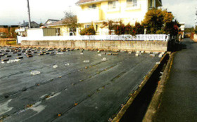 西条市喜多台81-1、81-2の外観