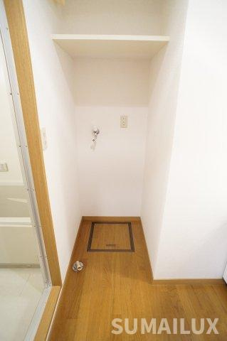 熊本市中央区南熊本５丁目の賃貸マンションの洗面所