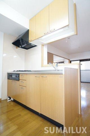熊本市中央区南熊本５丁目の賃貸マンションのキッチン