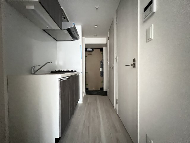 プレサンス大国町アドロッソの玄関