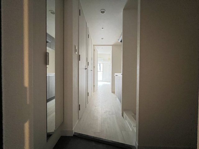 プレサンス大国町アドロッソの玄関