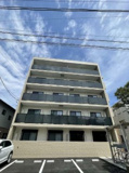 Ｐａｕｌｏｗｎｉａ　Ｖａｌｌｅｙ　ｔａｋｅ１０西横浜の画像