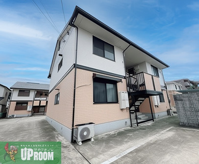 エヴァーグリーン