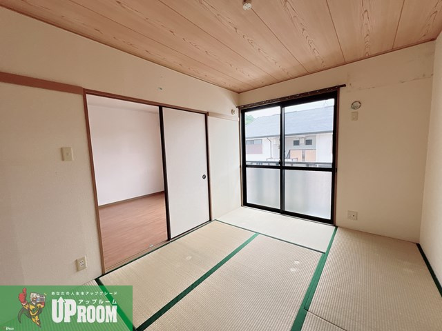 エヴァーグリーンのその他