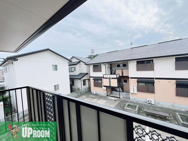 エヴァーグリーンの展望