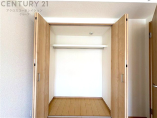 衣類やアクセサリー、小物類の収納が便利で整理整頓がしやすく、部屋の美観を保ちつつ、スペースを最大限に活用できます。衣服のしわやダメージを防ぎ、長持ちさせることができます。